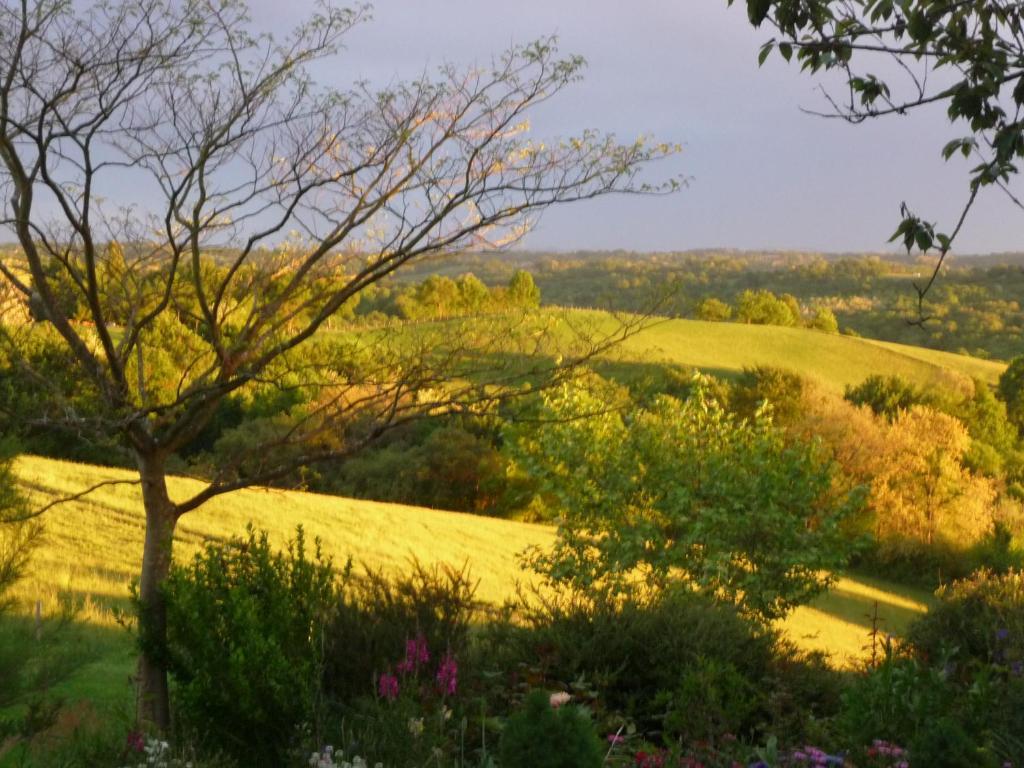 Bed and Breakfast Maison Artigouha Loubieng Экстерьер фото